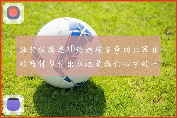 独行侠感恩AD哈迪埃克萨姆拉塞尔的陪伴与付出永远是我们心中的一家人