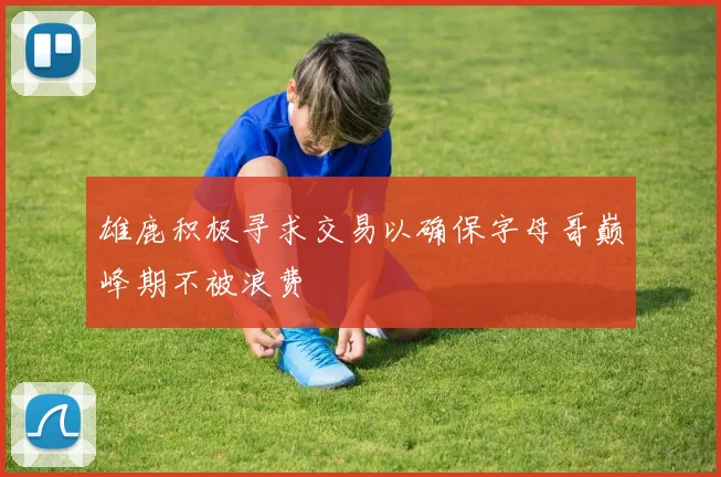 雄鹿积极寻求交易以确保字母哥巅峰期不被浪费